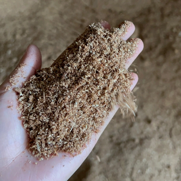 sawdust raw material