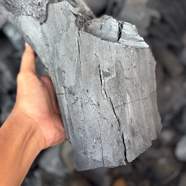 tamarind charcoal holded by hand